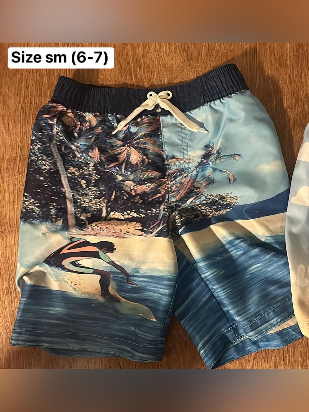 Boys Surf Board Shorts - Tropical Beach Scene